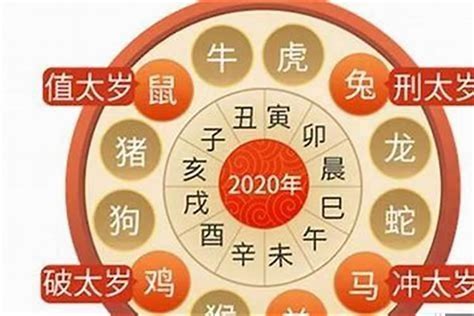 属虎人2023年运势|属虎2023年运势及运程详解 2023年属虎人的全年每月运势